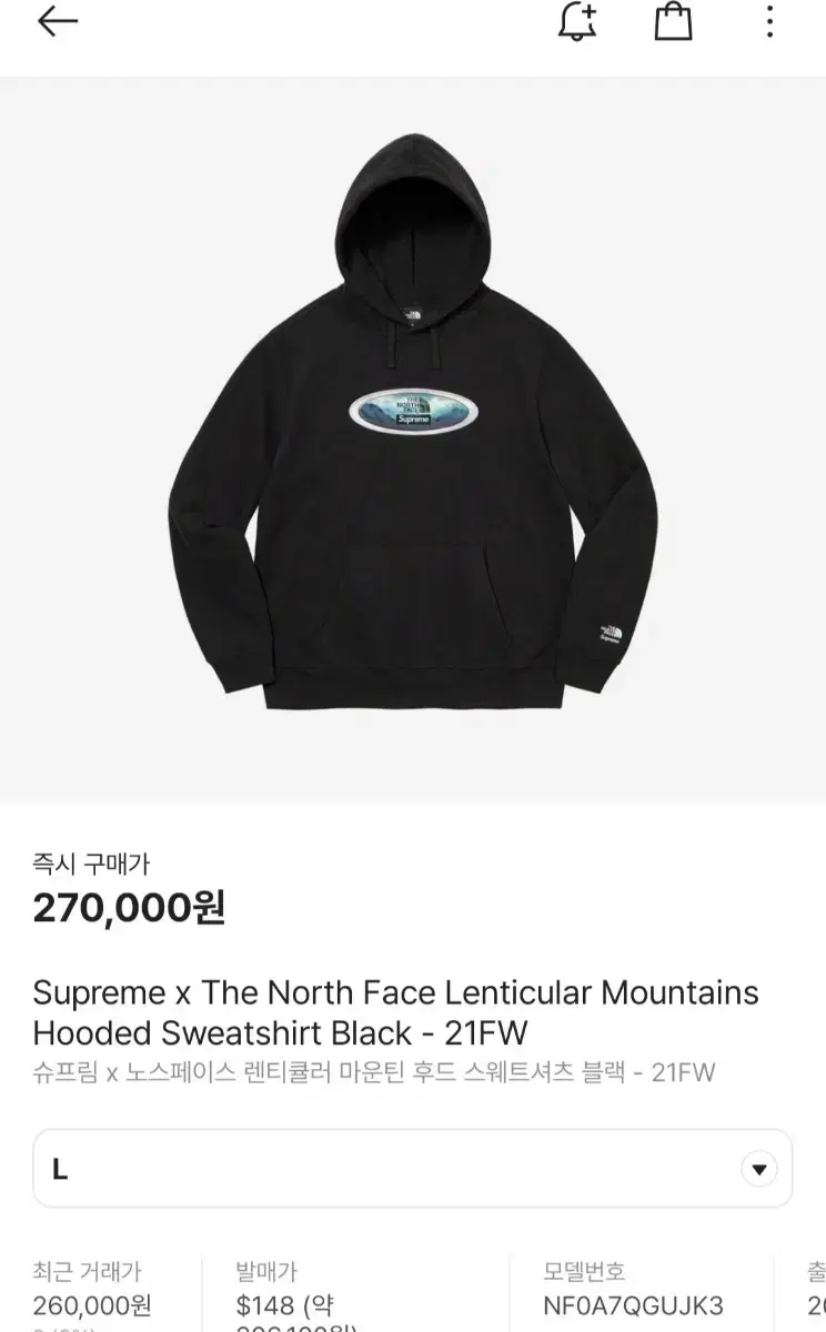 [L]Supreme x The North Face Mountain Hoodie