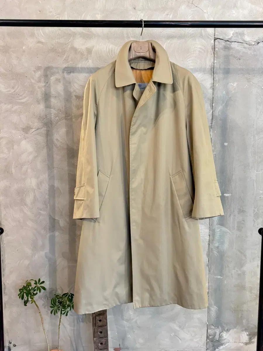 Aquascutum Coat Men100