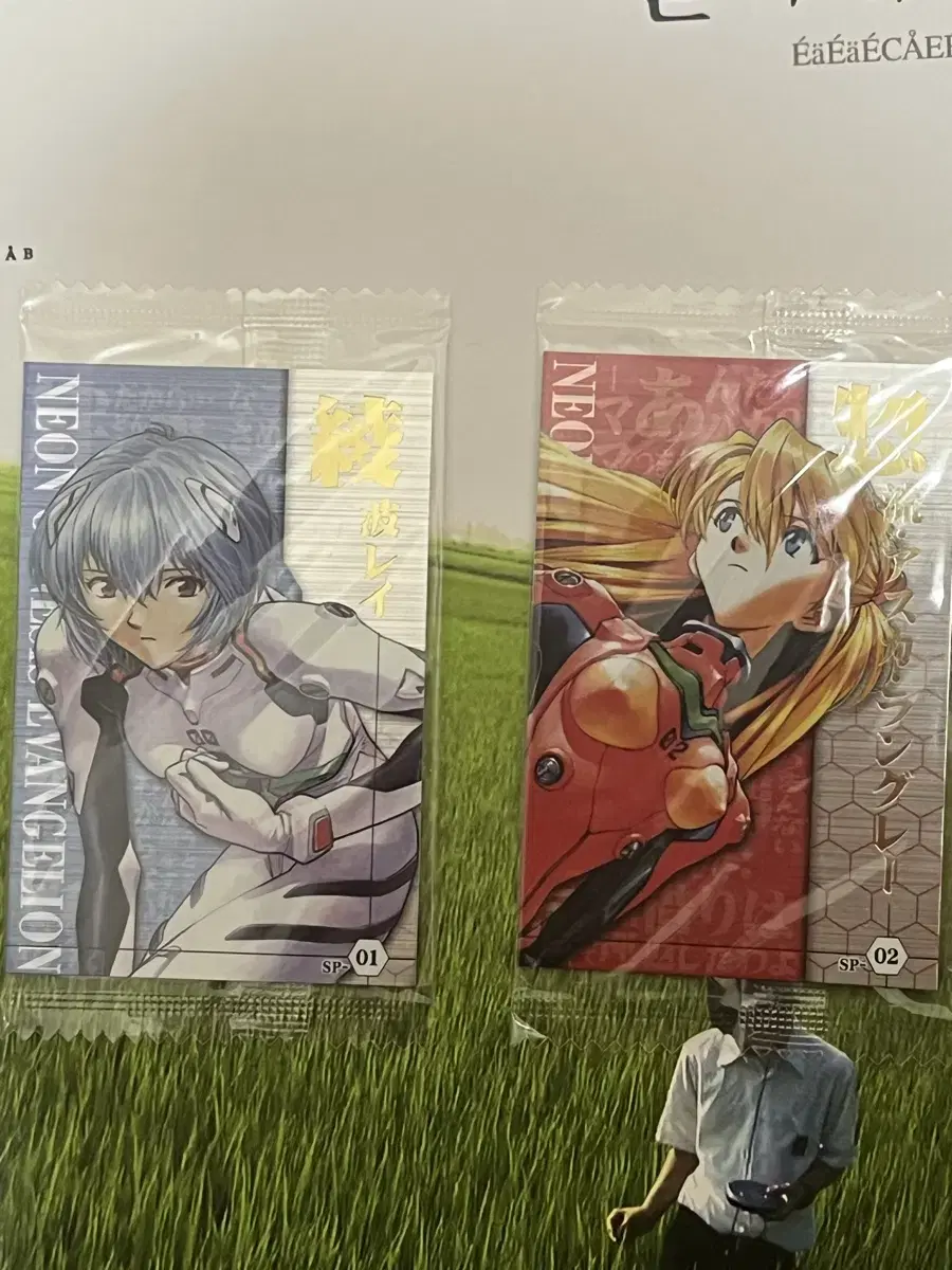 (Unsealed) Evangelion Lay/Asuka Metal Card