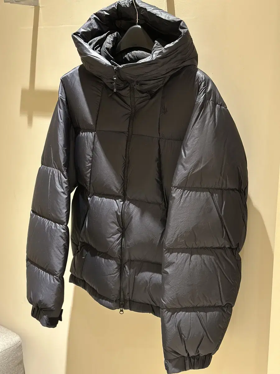 Goldwin Pertex Quantum Down Jacket