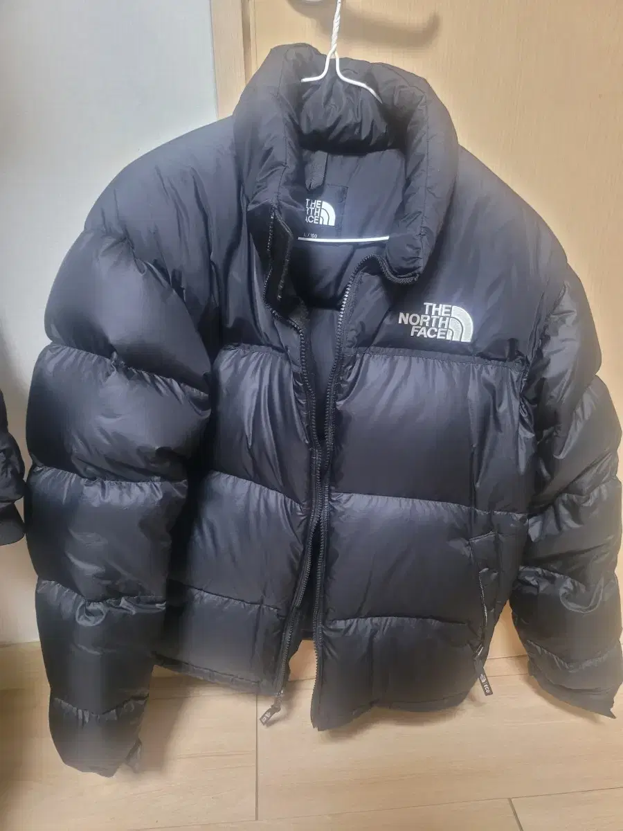 The North Face Padded 1996 Echo Down Jacket Condition A+ Fei