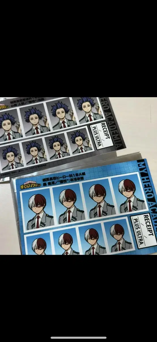 My Hero Academia Hiroaka Todoroki Certified Photographer