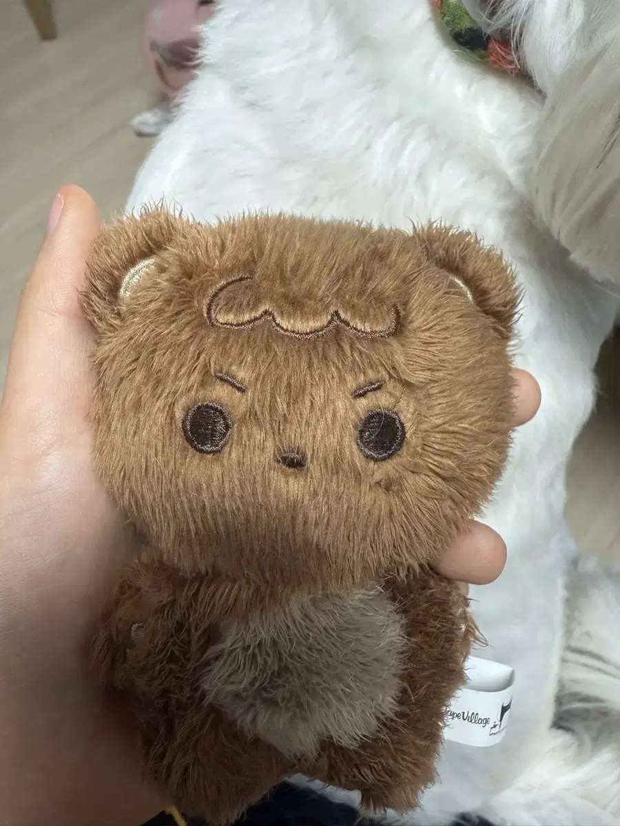 nct haechan doll sells chan