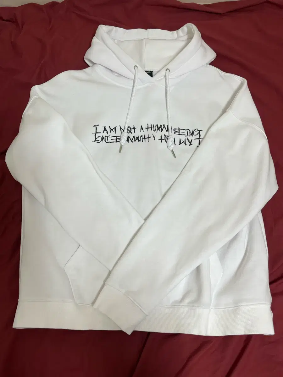 Ain't No Human Being Hoodie