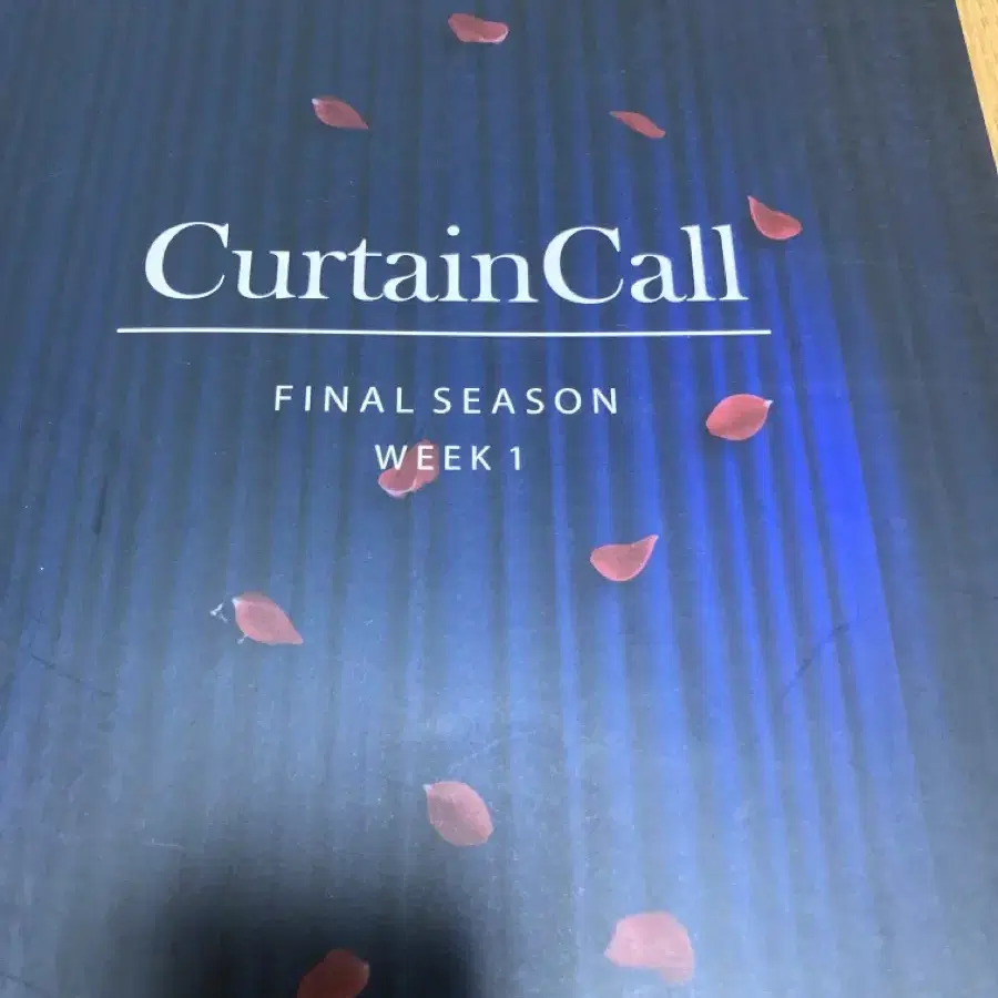 2025 시대인재 박준호 curtain call 문학 3권