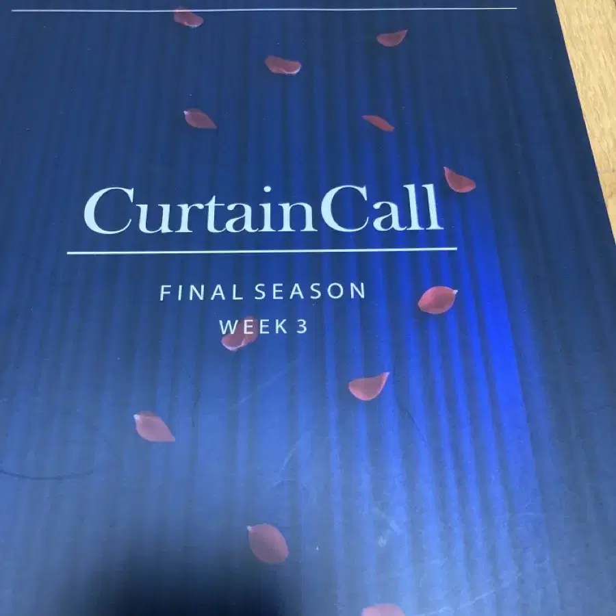 2025 시대인재 박준호 curtain call 문학 3권