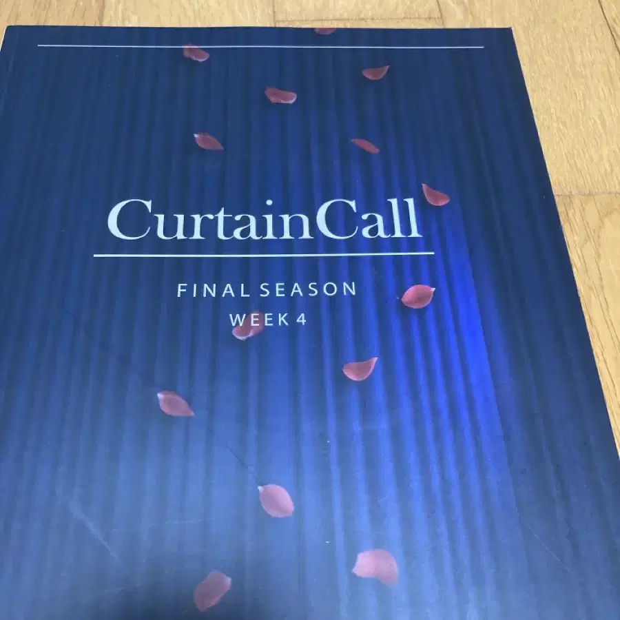 2025 시대인재 박준호 curtain call 문학 3권