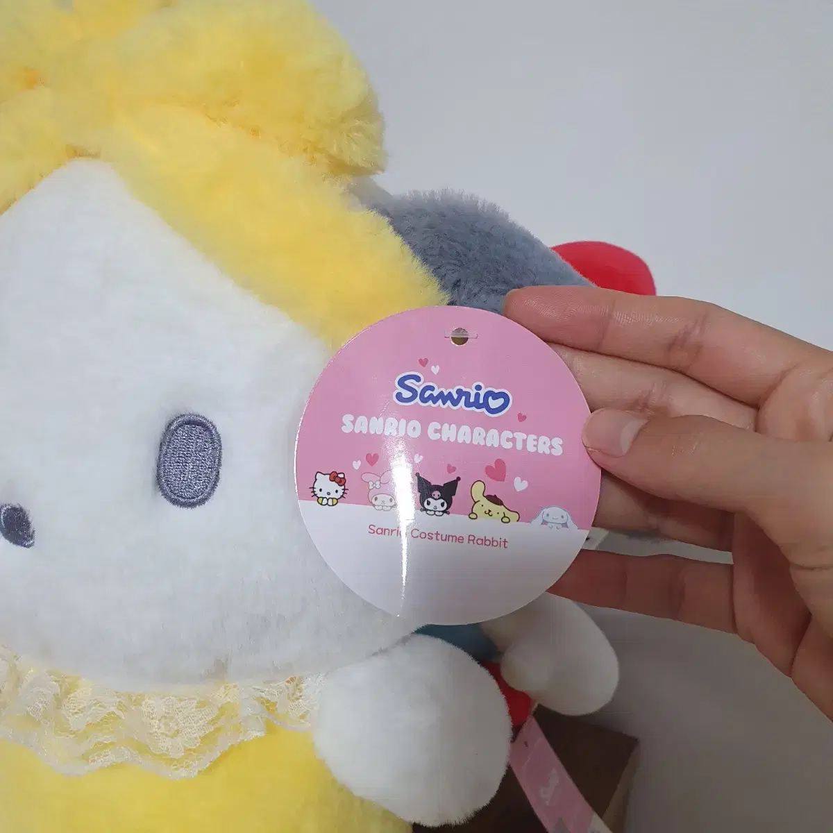 Sanrio costume 포차코 인형 산리오 30cm 새상품