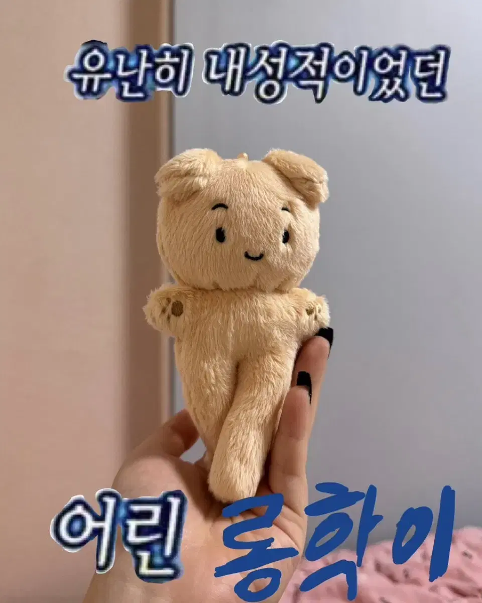 보이넥스트도어 운학 인형 롱학이