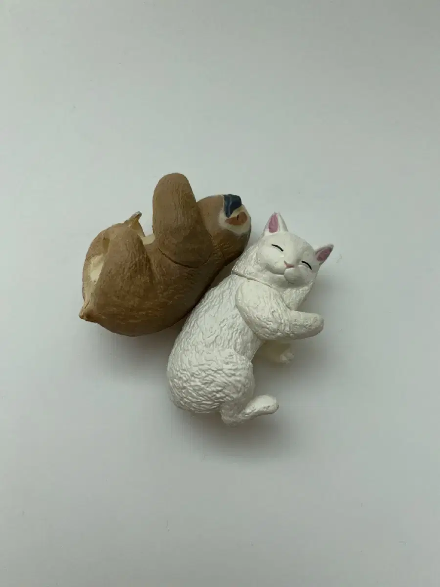 2 Cat Sloth Gacha in Bulk