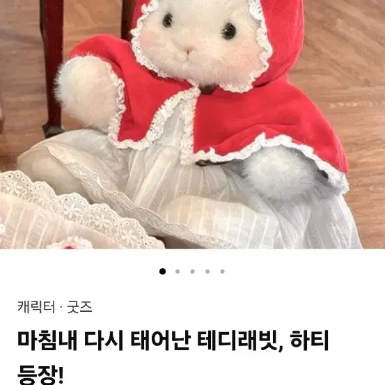 텀블벅 하티 드림라피 인형 공구 소분