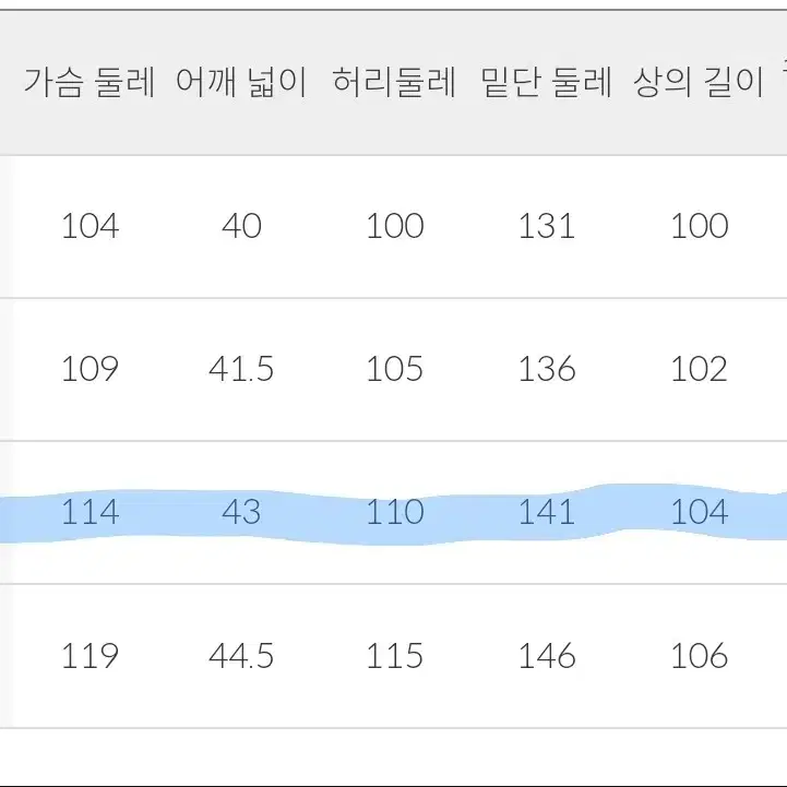 아이더 라헨느 프리미엄 캐시미어다운 (L 66사이즈)