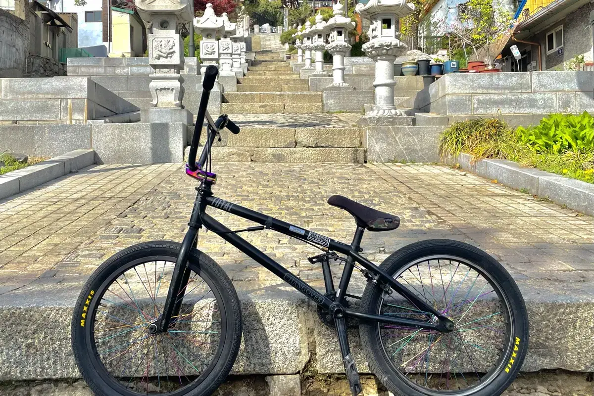 비스타 바이크 풀커스텀 Bmx