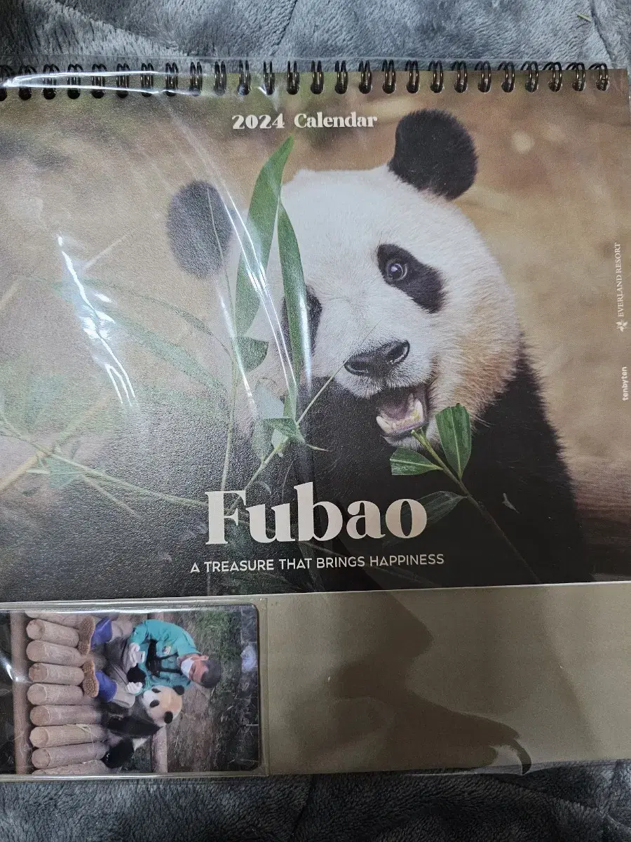 Sell Fubao 2024 Calendar + Photo Card