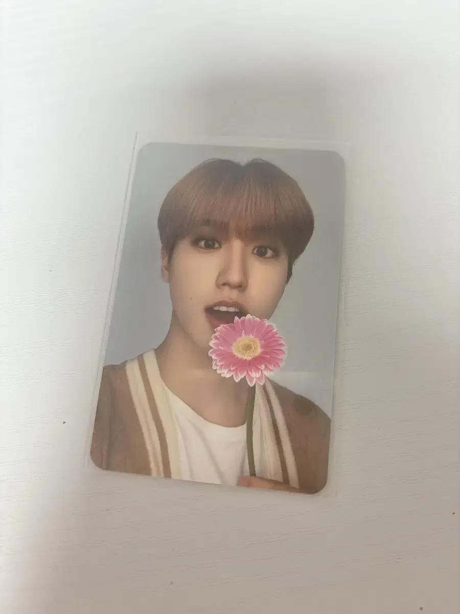 Skz Pacific han jisung double-sided photocard