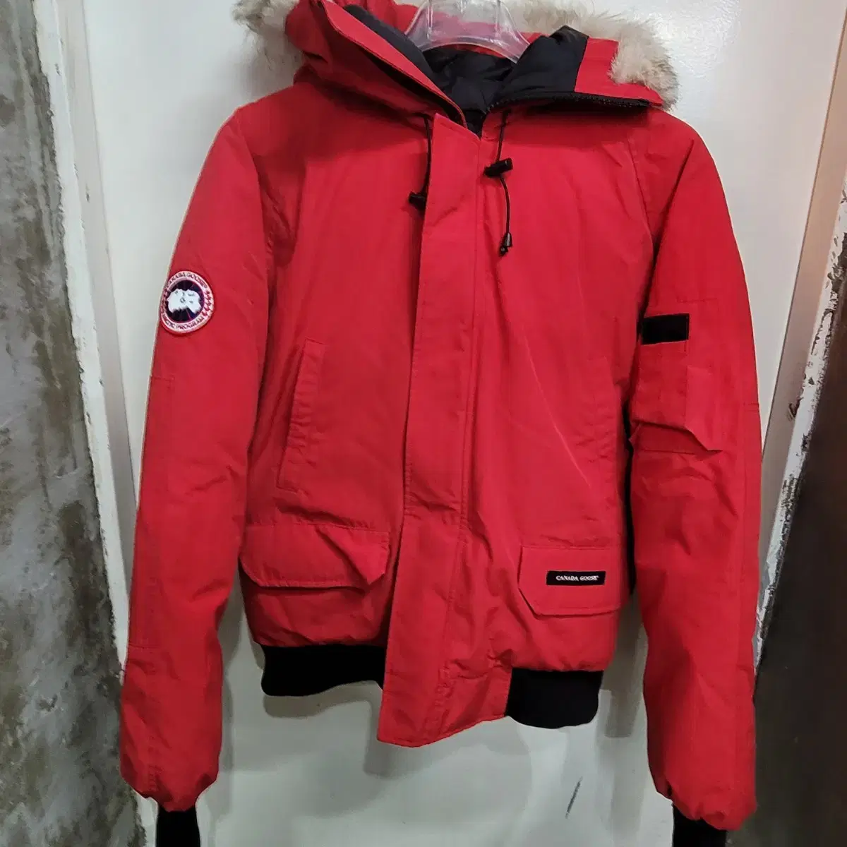 Canada Goose Chilliwack Bomber Goose Down 100. l