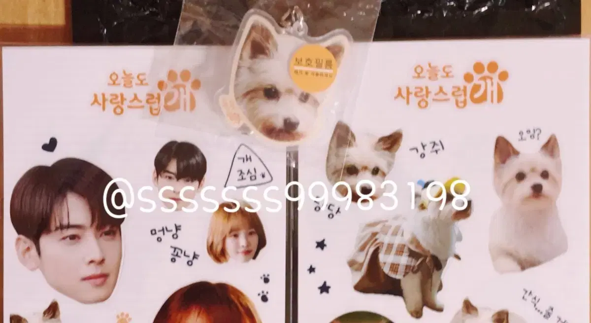 Today also lovely dog Osagae official goods keyring sticker set Cha Eunwoo Park Kyu Young Lee Hyunwoo