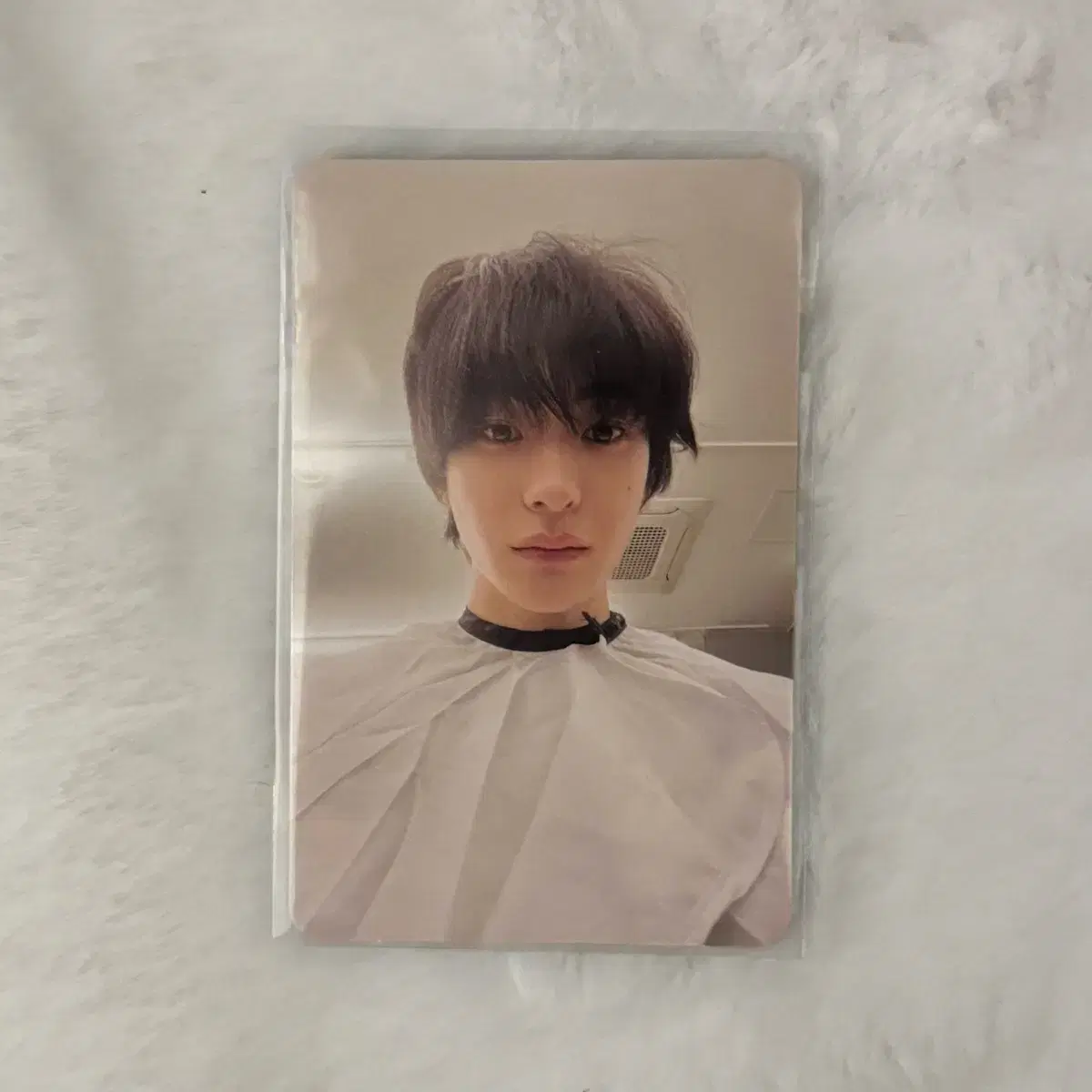 Rize chanyoung photocard sells