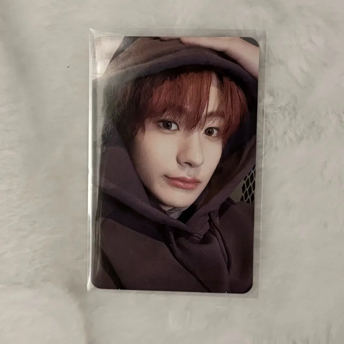 Rize chanyoung photocard sells