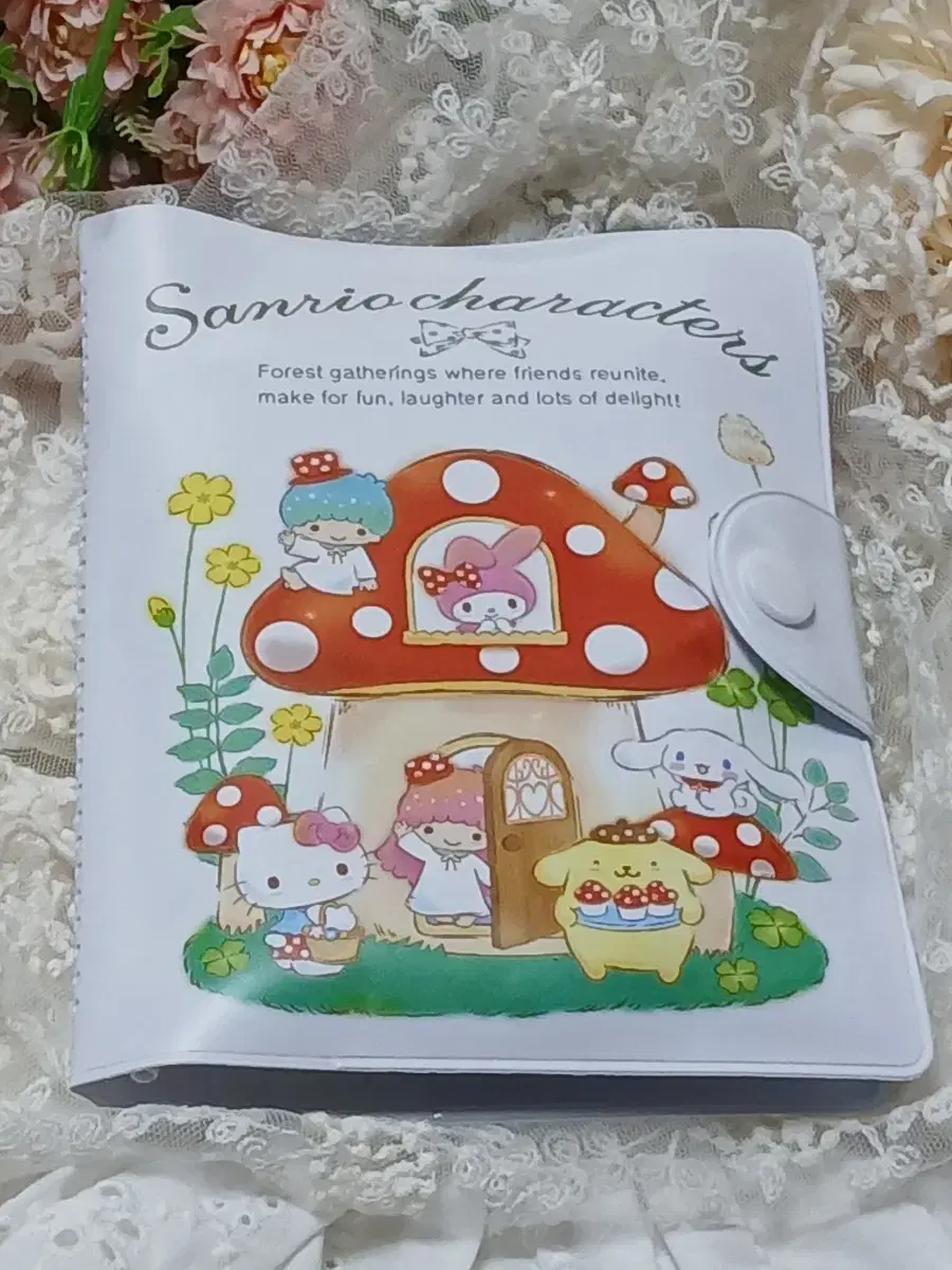 Sanrio Notebook .Passport . kard  Storage case (direct from Japan)