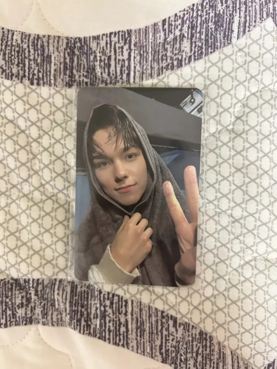 seventeen vernon mini12집 musicart ld photocard yangdo buncheol