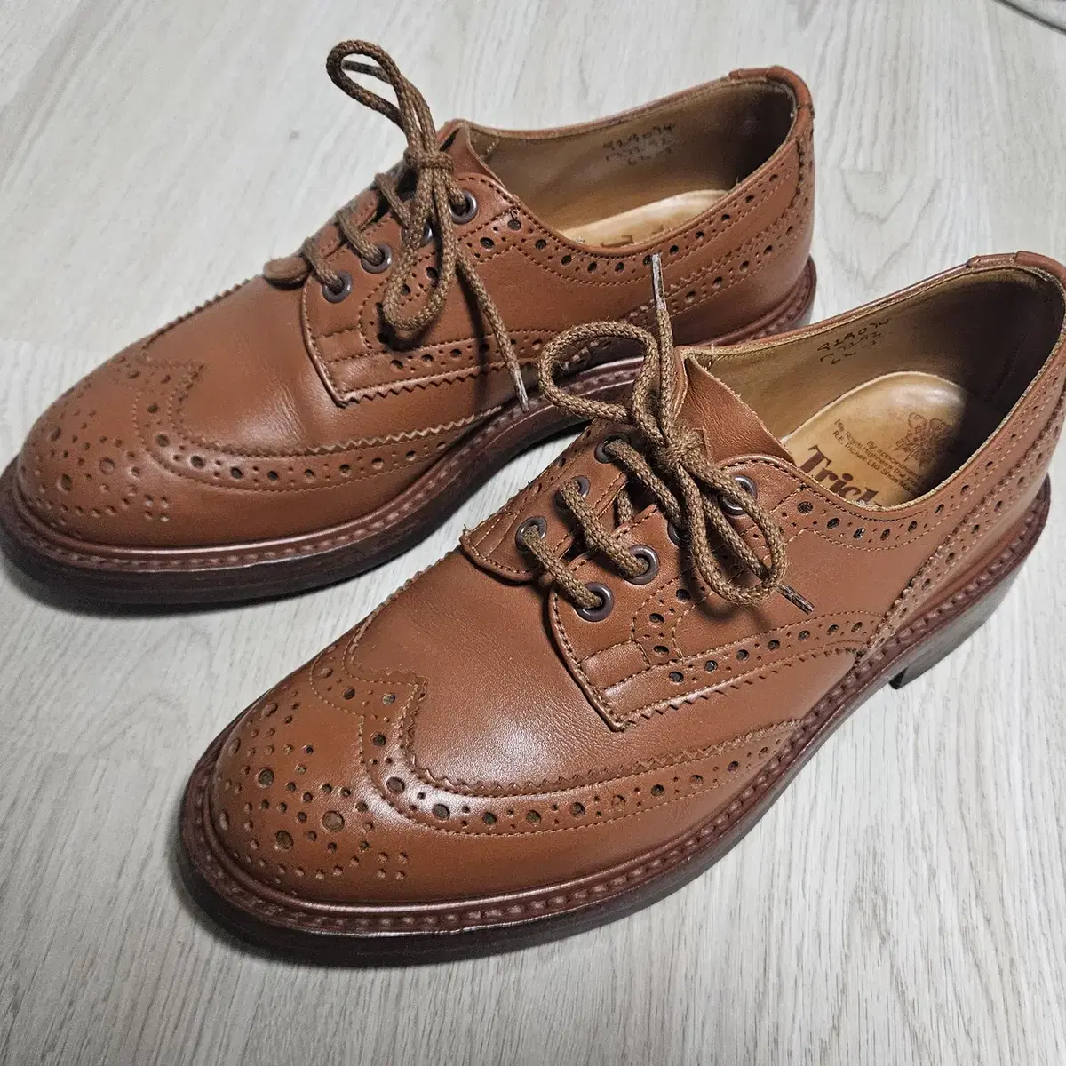 [UK 6.5] Trickers 트리커즈 Keswick C-Shade