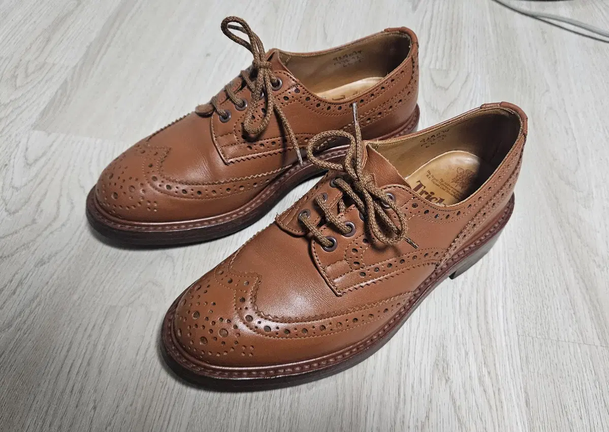 [UK 6.5] Trickers 트리커즈 Keswick C-Shade