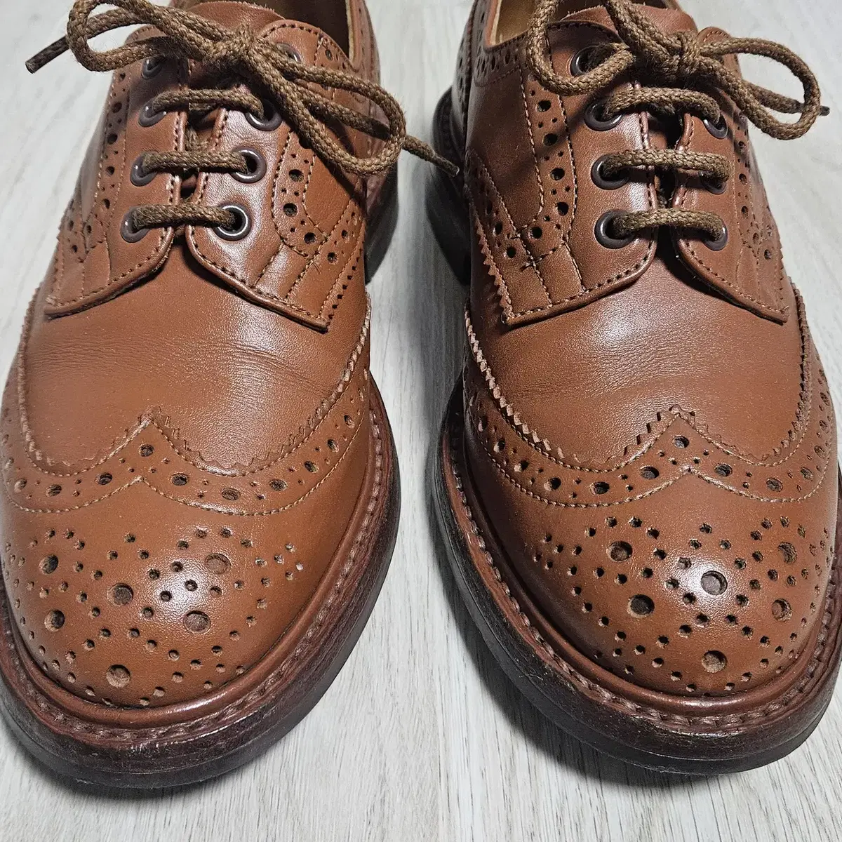 [UK 6.5] Trickers 트리커즈 Keswick C-Shade