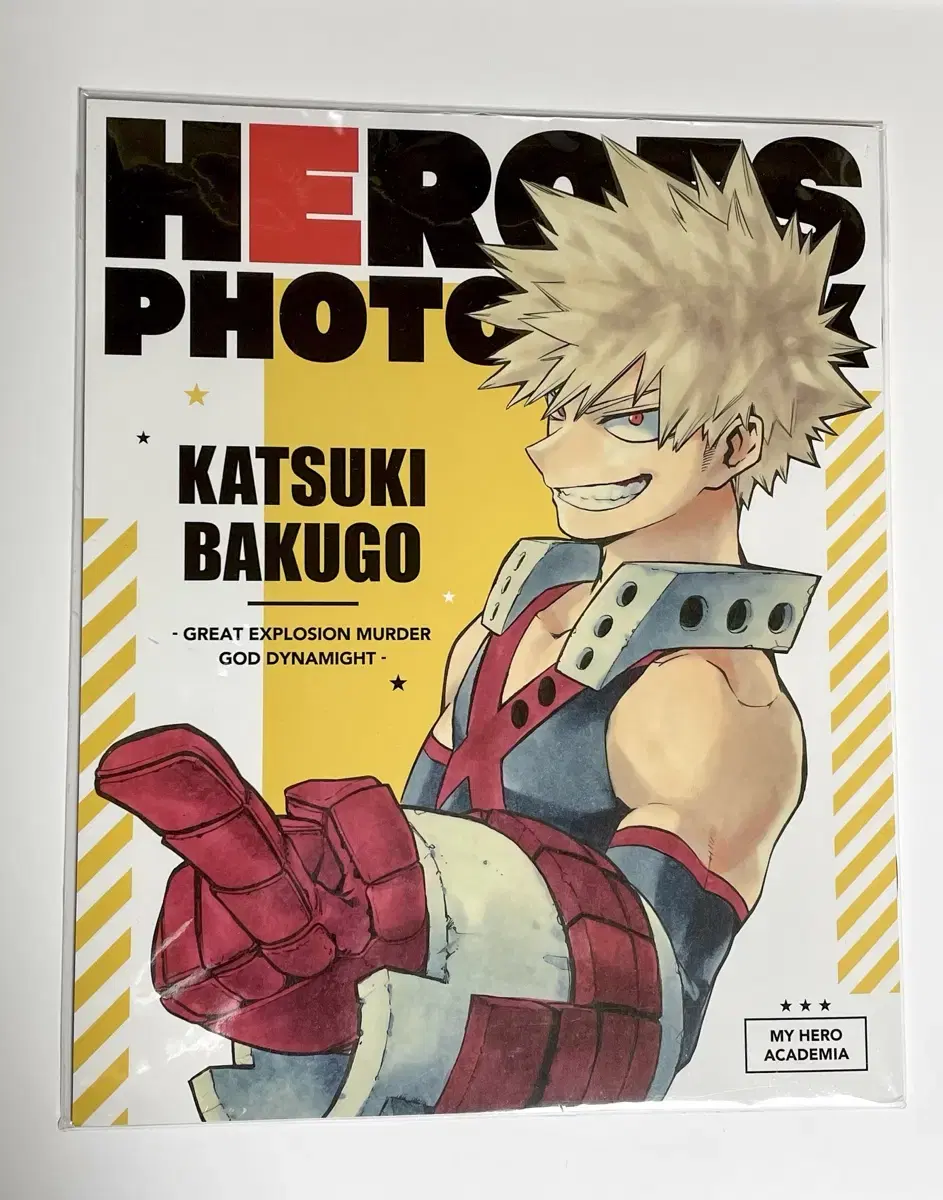 My Hero Academia Bakugo photobook Hiroaka Original Painting Exhibition