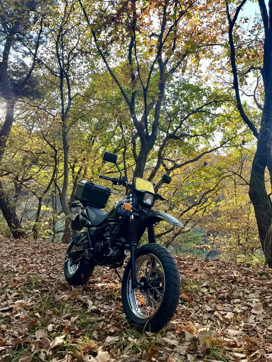 17년식 4000km 주행 트로이125