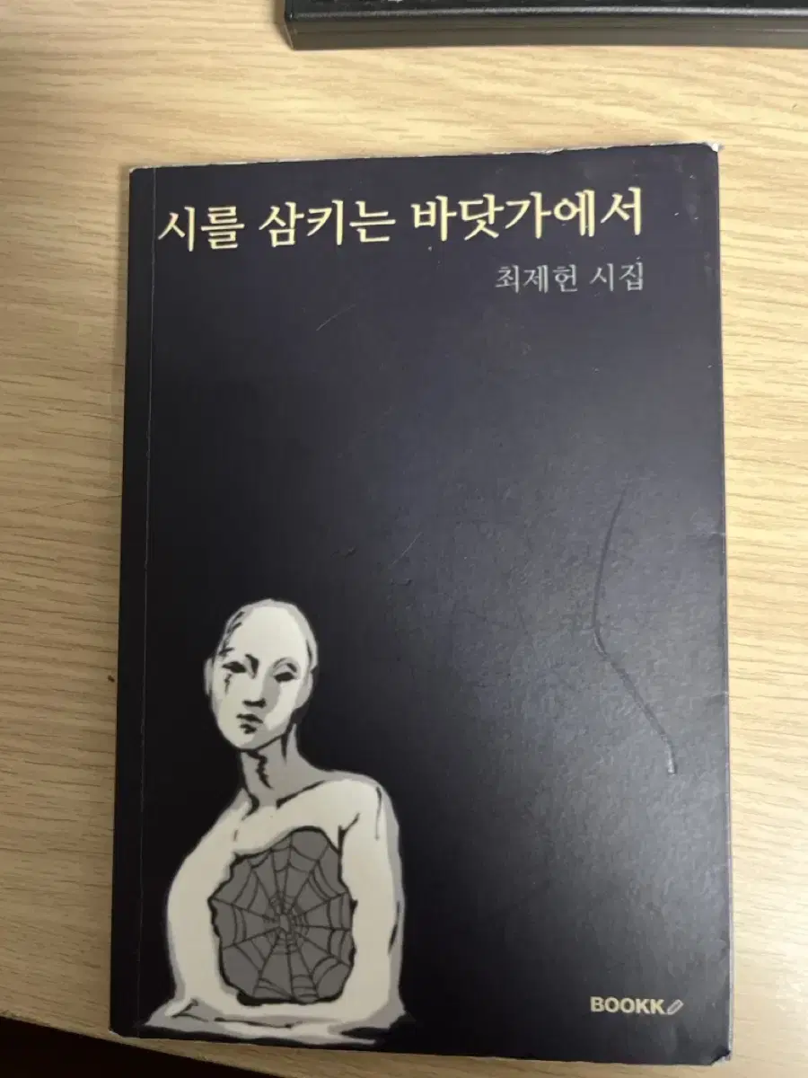 최제헌 시집 시를 삼키는 바닷가에서