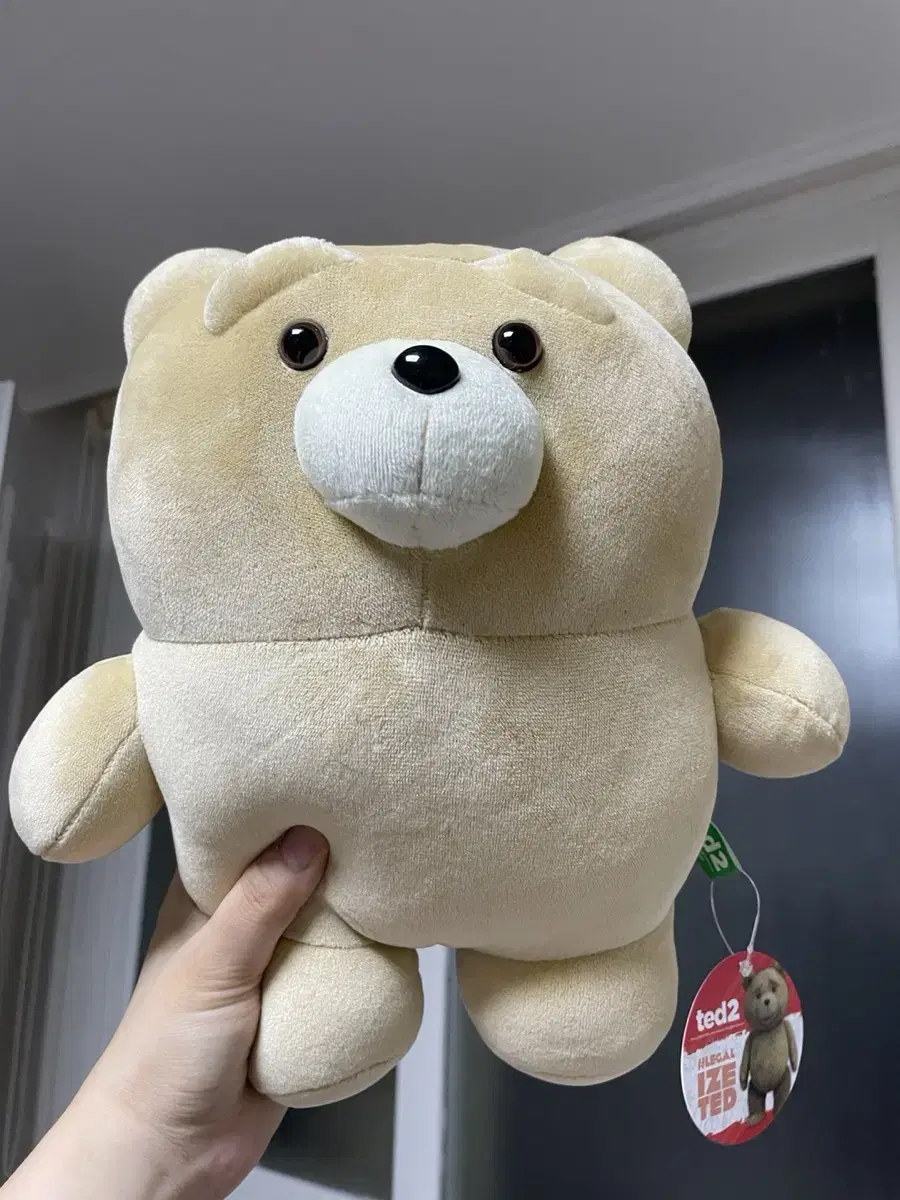 (New) Ted2 Teddy Bear Doll<비닐포장>