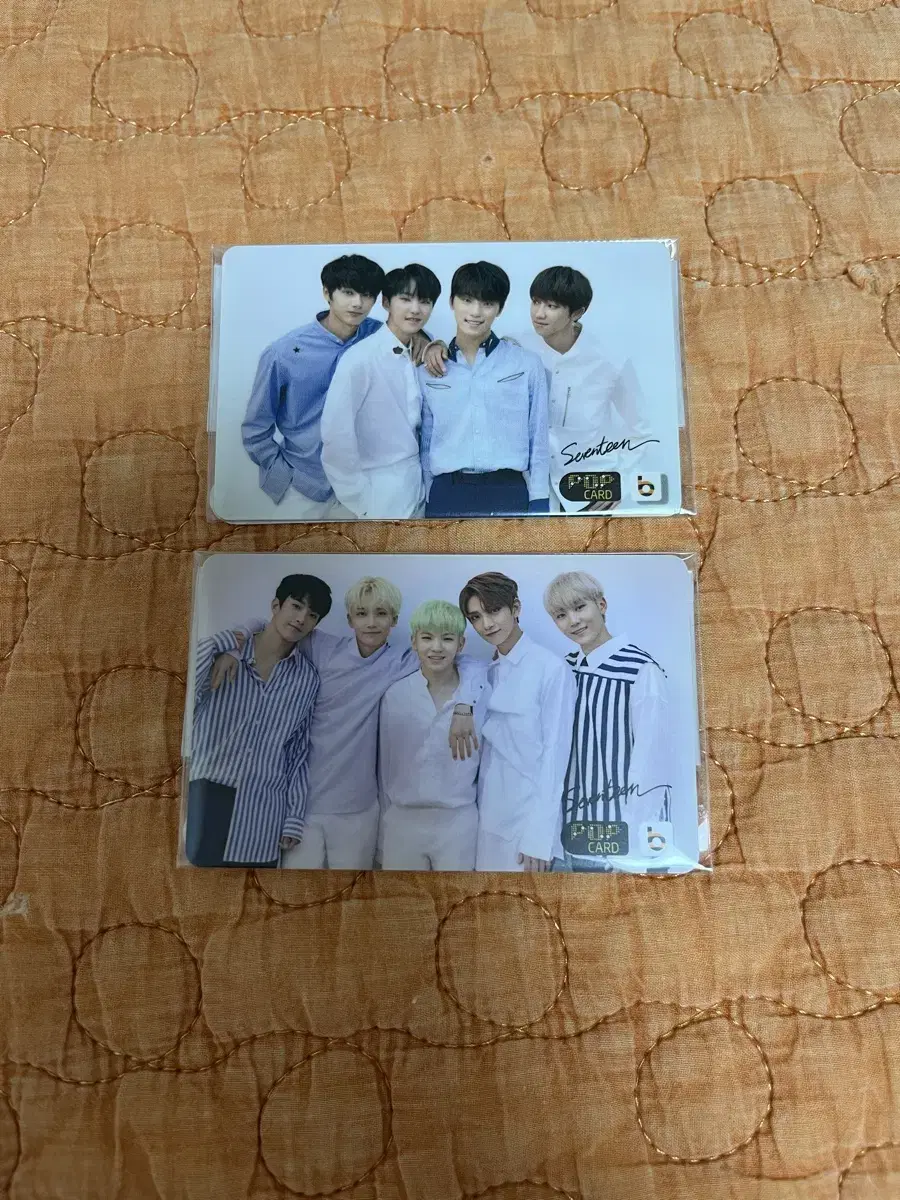 Seventeen Transportation Card