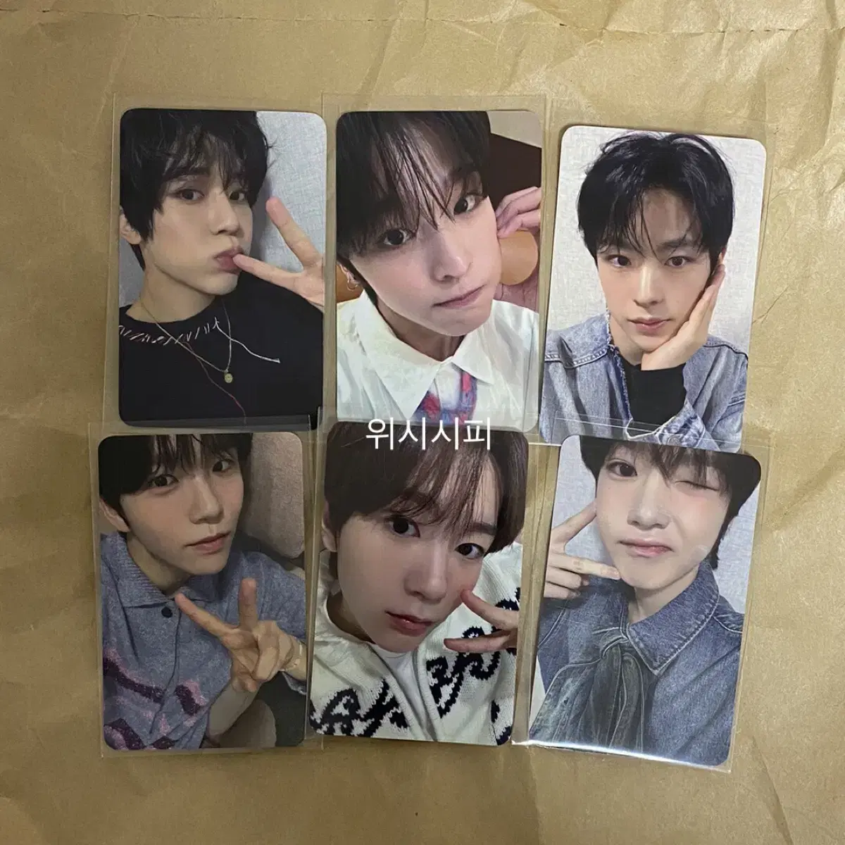 nct wish steady with muu 241020 offline unreleased photocard photocard photocard