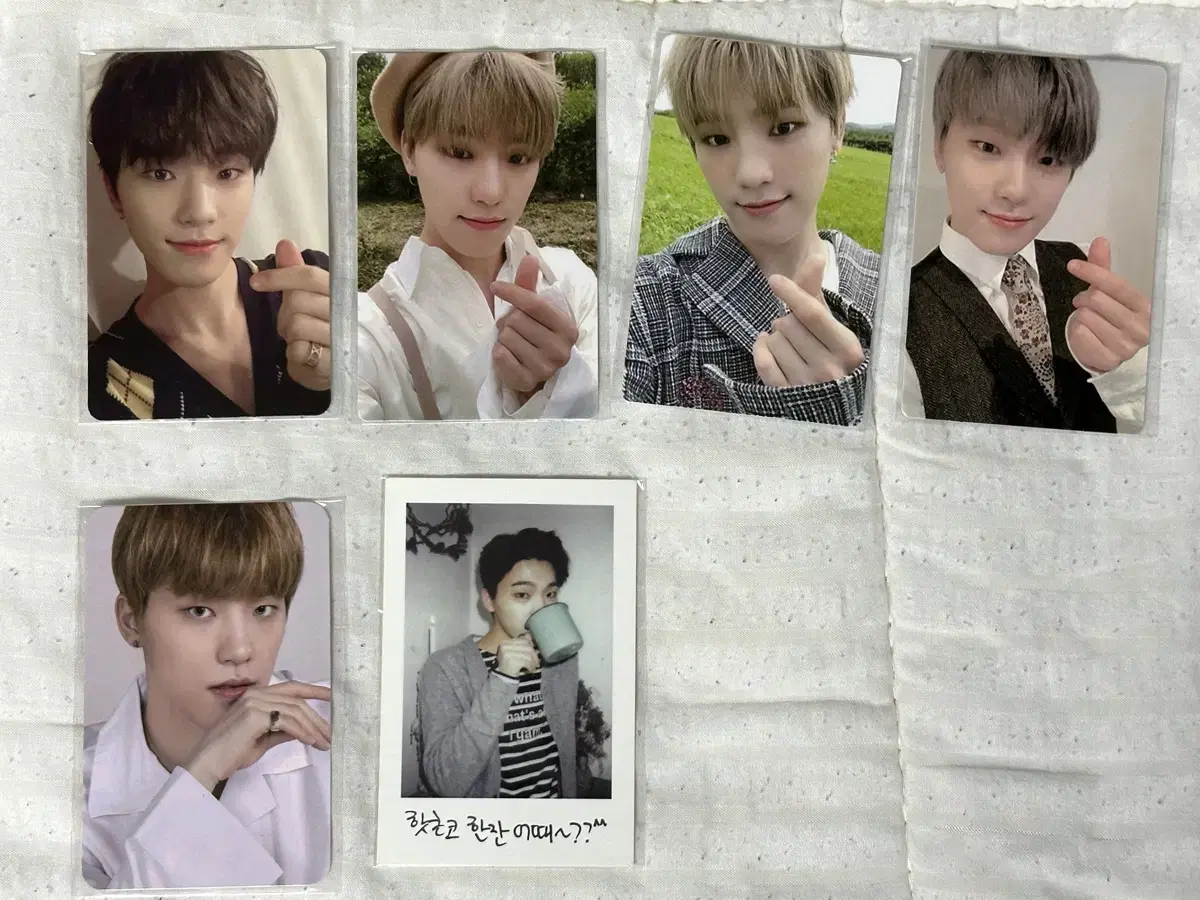 seventeen dino photocardbulk