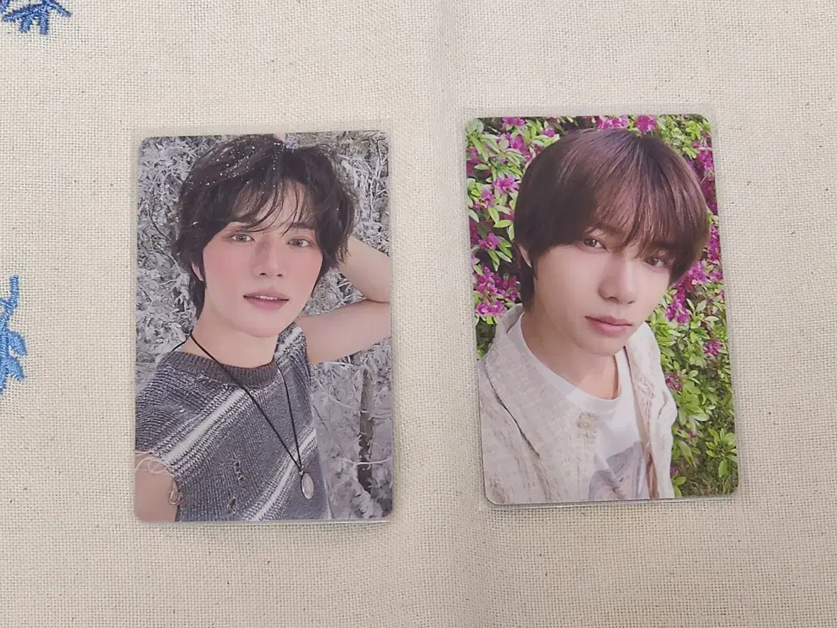 Beomgyu Japan Chikai Odaiba Adventure King + Concert Venue Limited pre-order benefit photocard Bulk