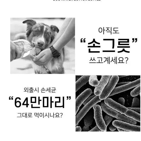 반려 휴대용물통 사료통 비닐팩내장