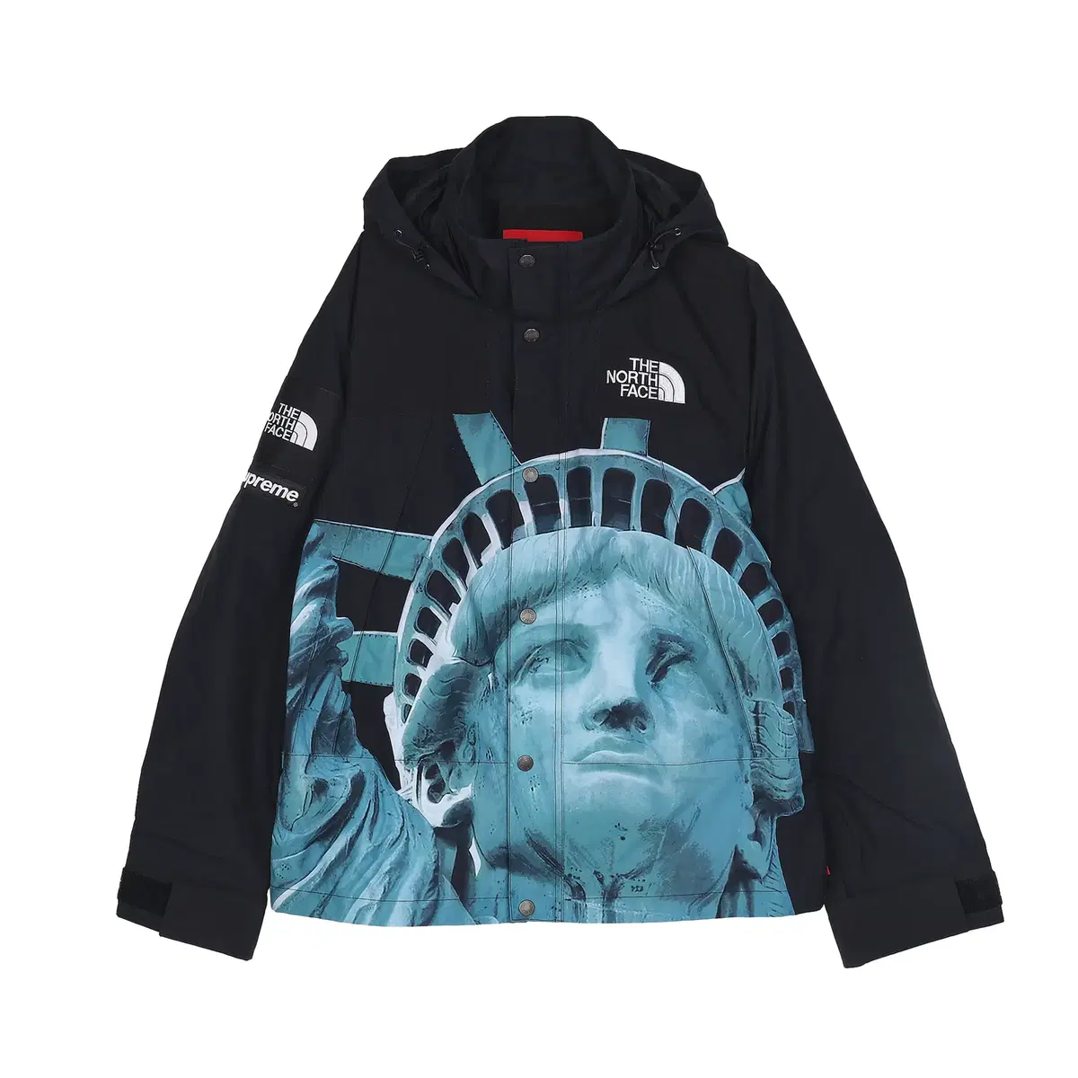 [S] Supreme x The North Face Statue of Liberty Mountain Jacket Black - 19FW