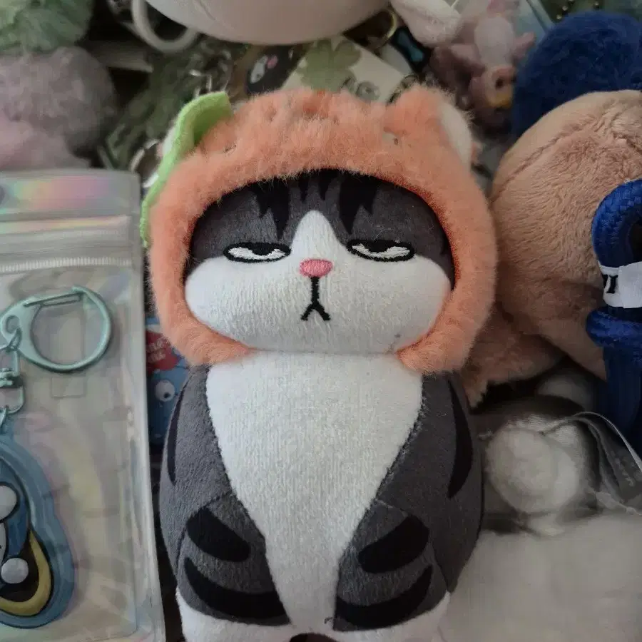 고양이 인형키링