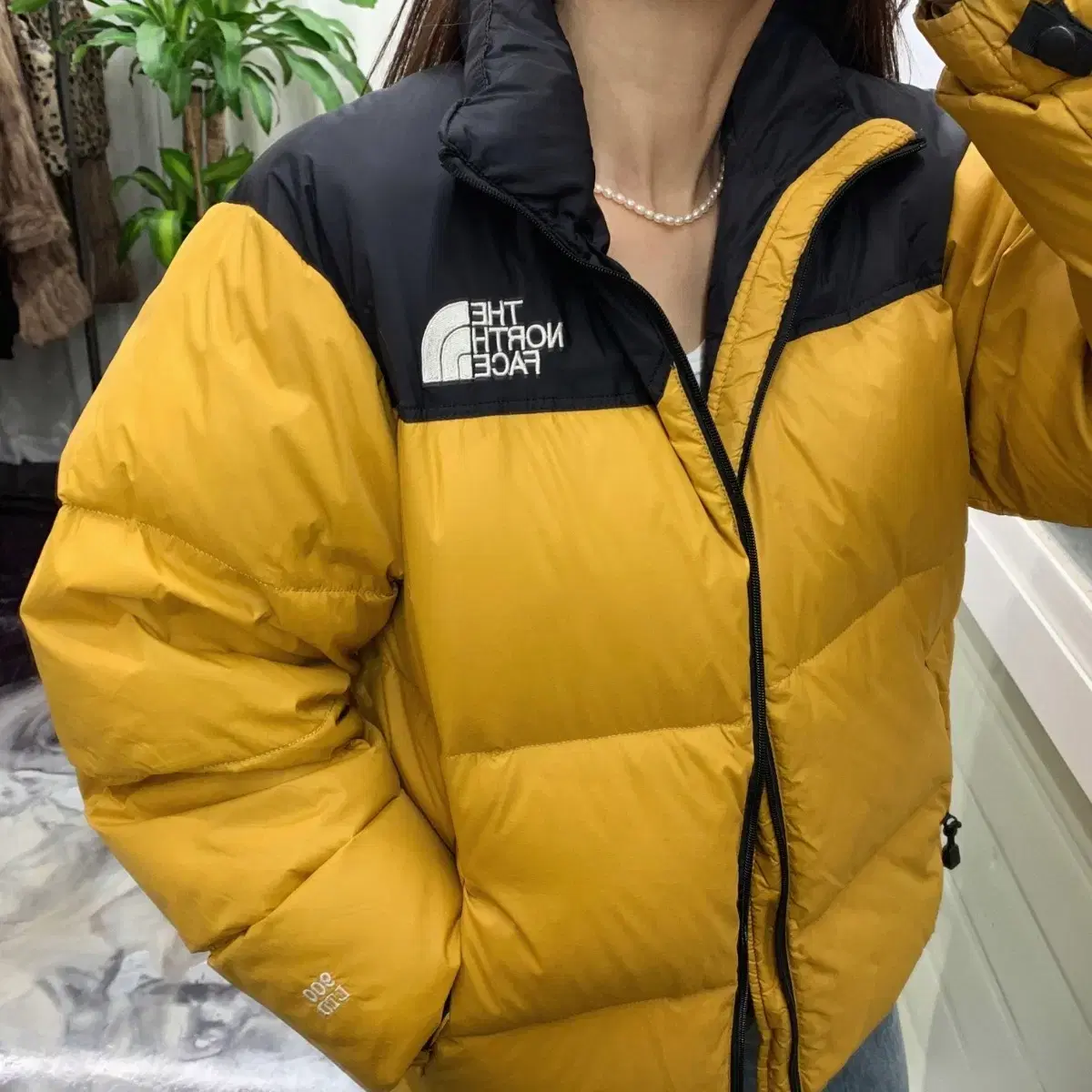 THE NORTH FACE 노스페이스 구스다운 패딩점퍼