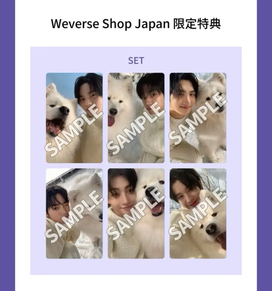 Weverse Japan TWS Japan unreleased photocard photocard buncheol Shin Yu Dohoon youngjae Han Jin jihoon Kyungmin