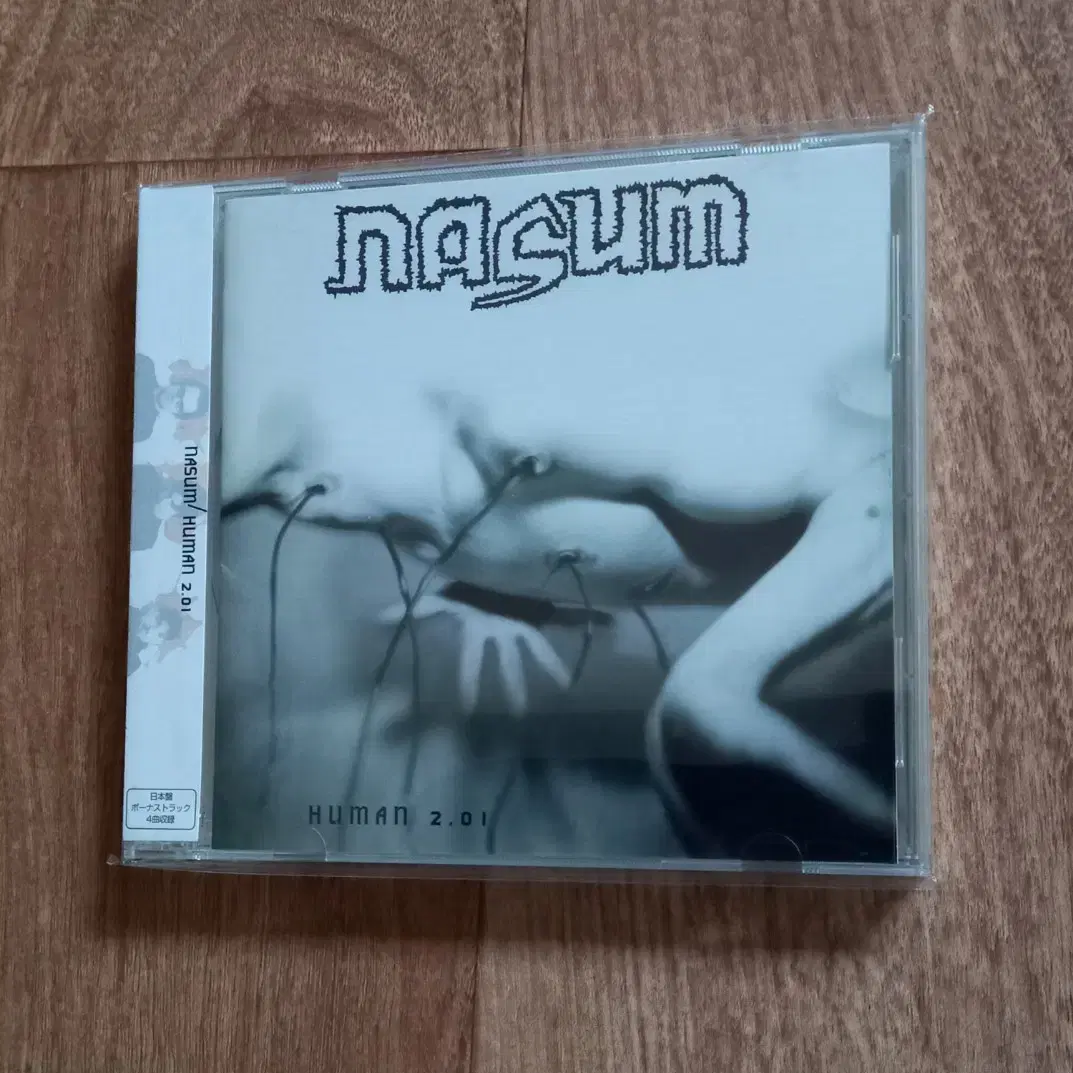 nasum cd 일본반 시디