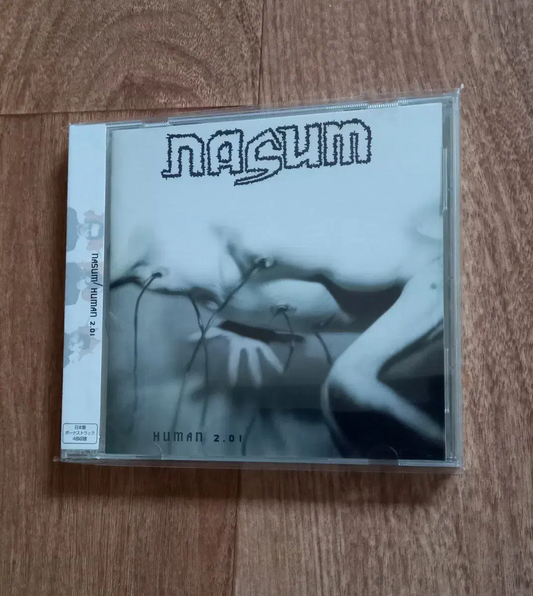 nasum cd 일본반 시디