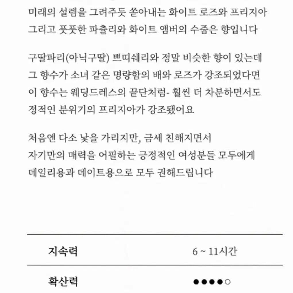 로이비 EDP 향수 4종일괄 국문택