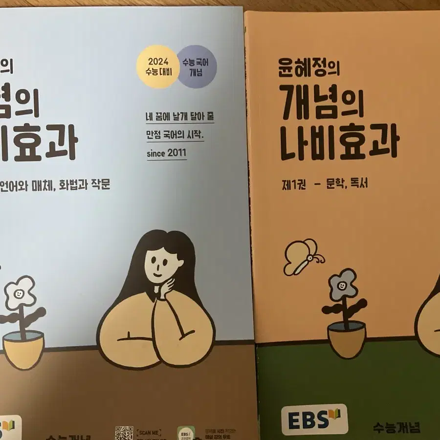 윤혜정의 개념의 나비효과