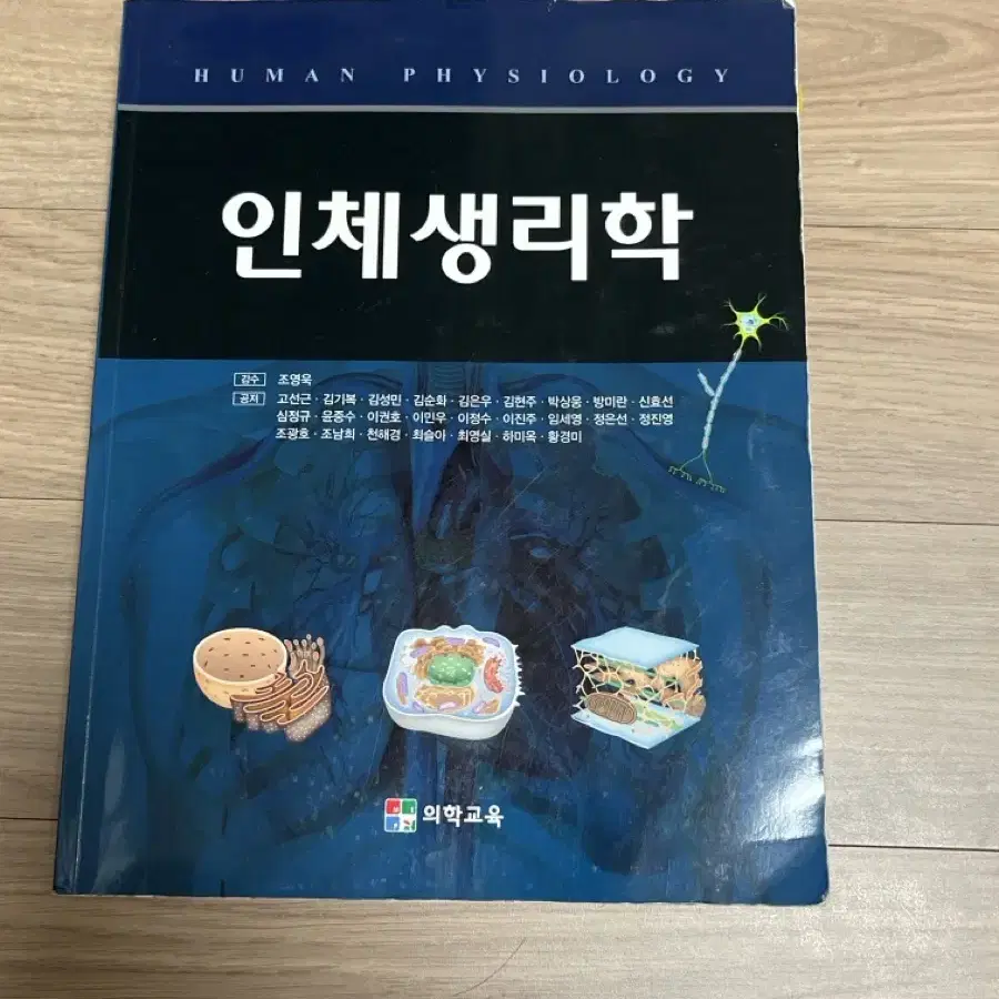 인체생리학 조영옥