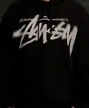 Stussy Digi Stock Hoodie Black xxL New