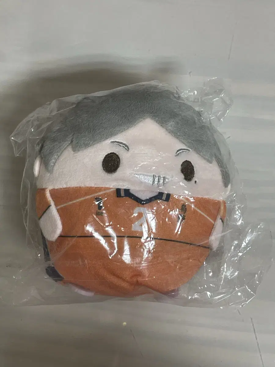 Haikyuu Suga Fuwakororin