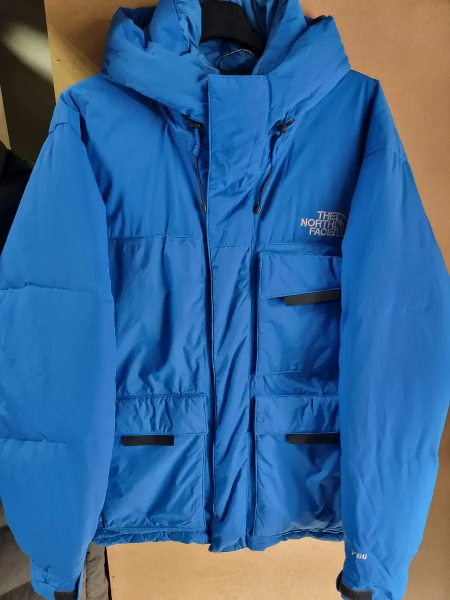 The North Face Men's International Edition 700-fill goose down jacket