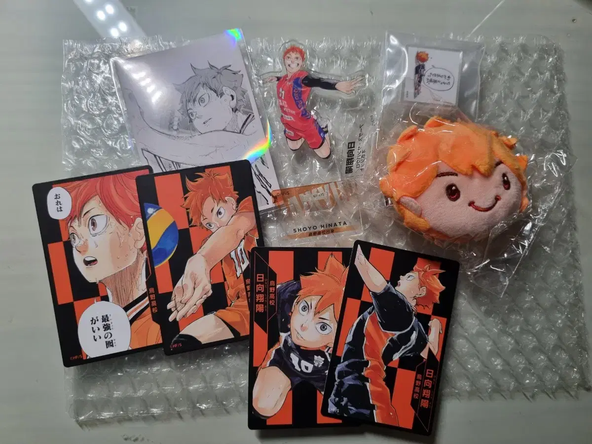 Haikyuu hinata Chronicle One Card Nuigurumipin Gigatile bulk sells